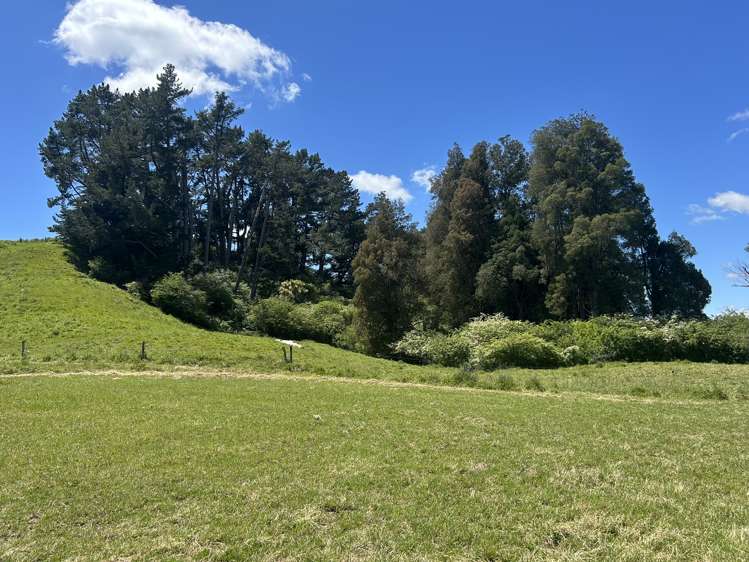 54 Puahue Road Te Awamutu_17