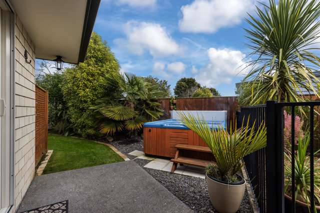 12 Ahmad Close Levin_1