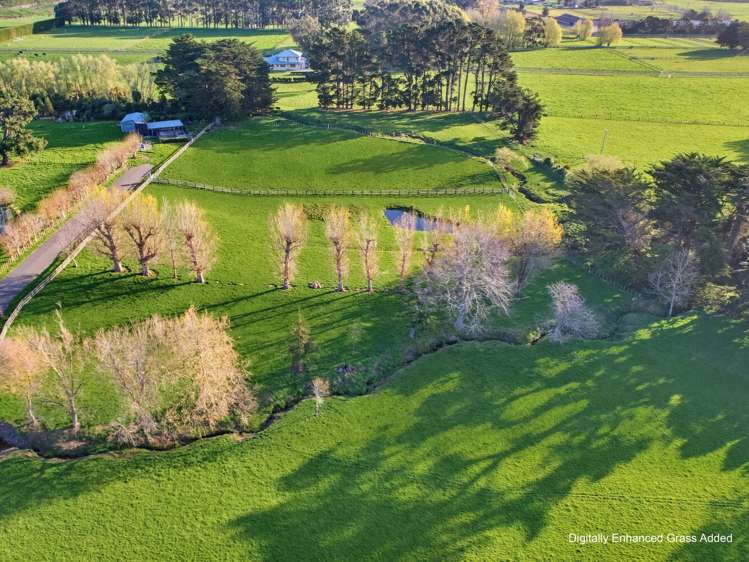 30 Forest Hill Road Aokautere_10