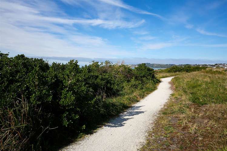 108b Beach Road Kaikoura_42