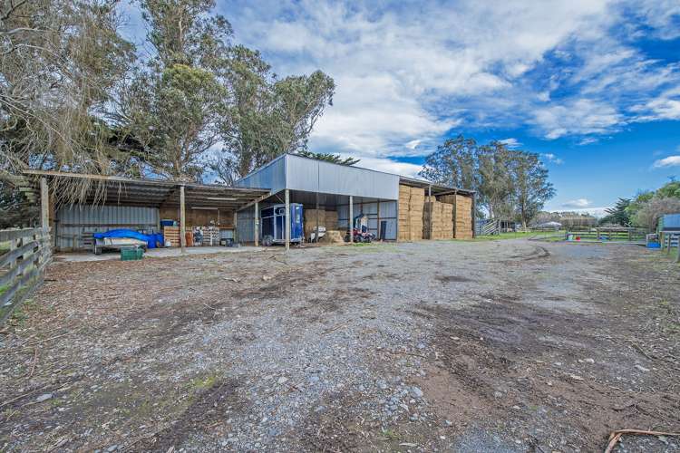 127 Selwyn Lake Road Leeston_2