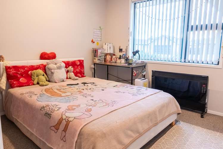 1 Monarch Drive Ashhurst_5