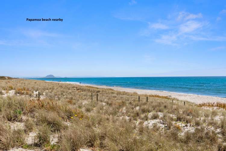 83 Coast Boulevard Papamoa_23
