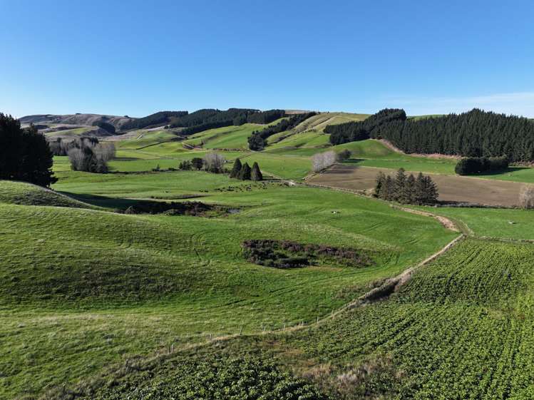 114 Bull Creek Road Glenledi_20