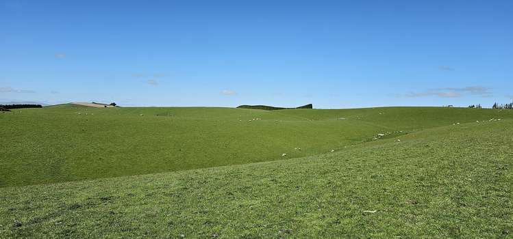 919 Miller Road Clinton and Surrounds_22