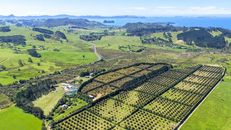 25 Orua Lane Whenuakite_21