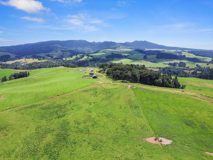 870 Mangati Road Pirongia_35