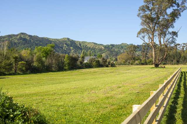 715 Back Ormond Road Makauri_1