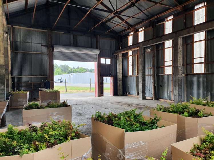 59 Rimu Street Strandon_7