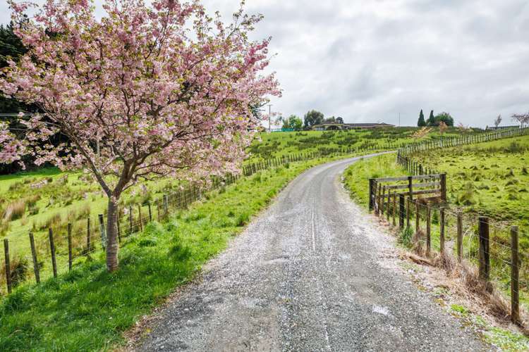 528 Stoney Creek Road Kelvin Grove_25