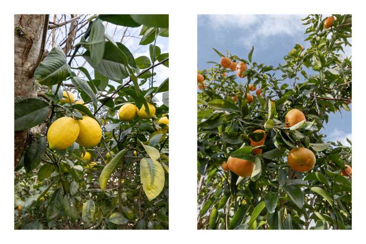 41 Oteki Park Drive Welcome Bay_17