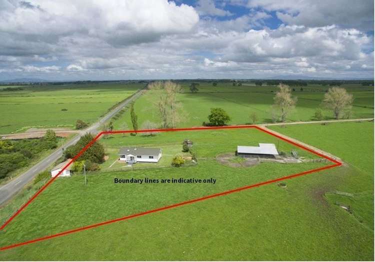 211 Shewan Road Gordonton_15