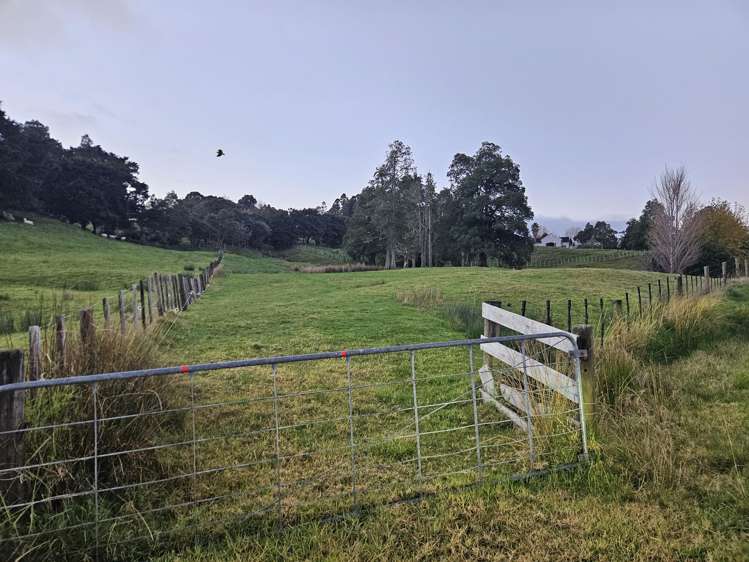 690 Haruru Road Wainui_22