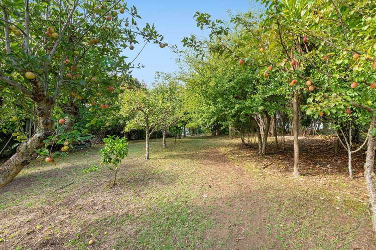 1688 South Head Road Helensville_11