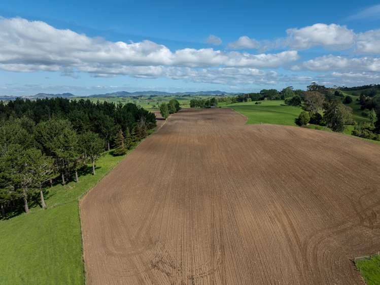 1232B Hetherington Road Huntly_14