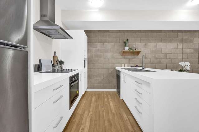 3J Papawai Terrace Mount Cook_1