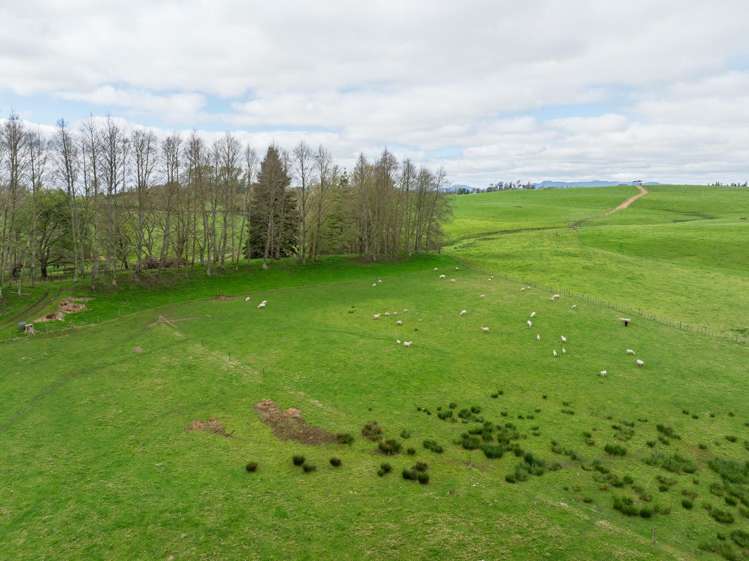 354 Paratu West Road Matamata_32