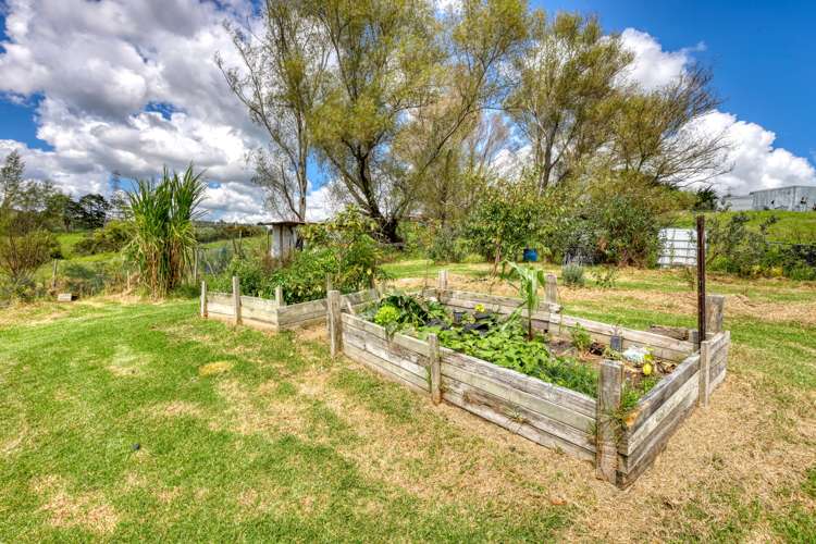 20 Lupis Way Kaiwaka_18