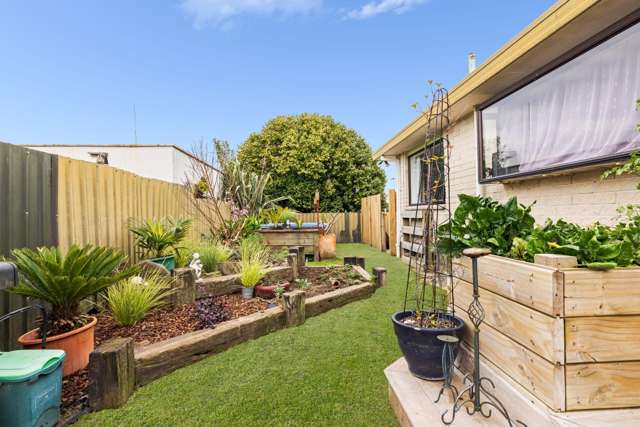 157b Sixteenth Avenue Tauranga South_4