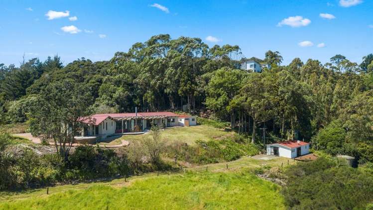 90 Cedar Terrace Stanmore Bay_15