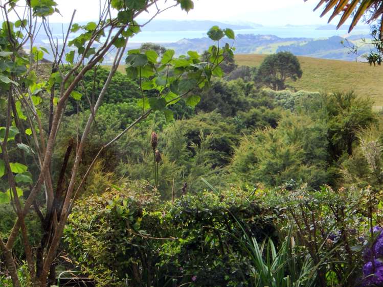 401 Creightons Road Clevedon_34