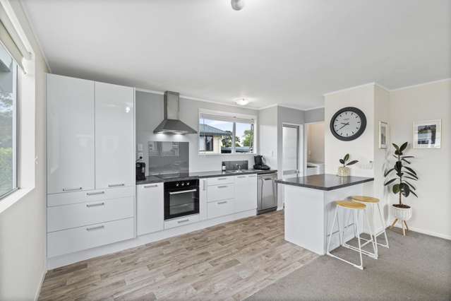 33 Sain Crescent Morrinsville_2