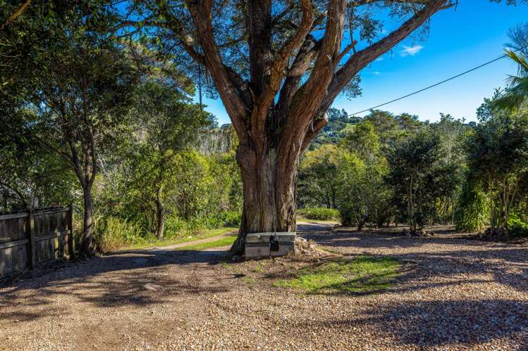 39 Whakarite Road Ostend_25