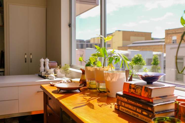 10B Brickfield Way Freemans Bay_10