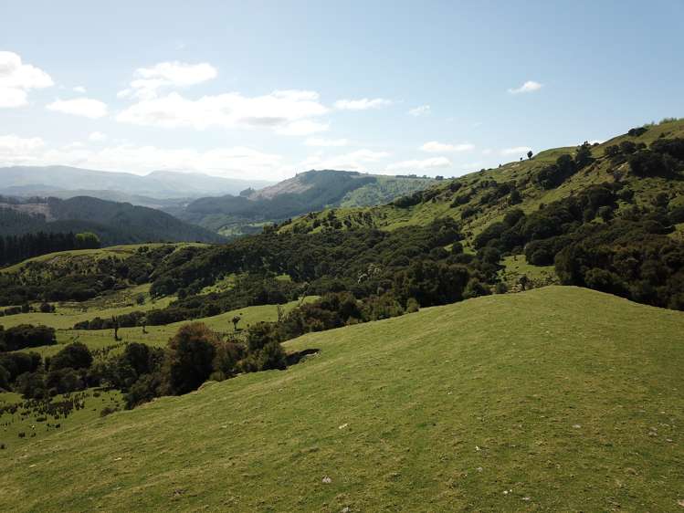 1050 Ellis Wallace Road Eskdale_6