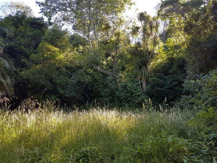 Torea Moua Bay Marlborough_9