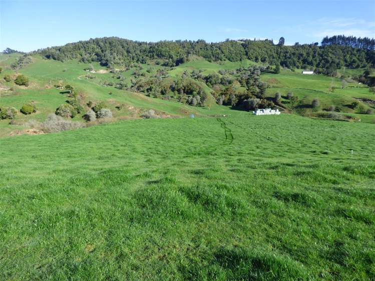 523 Honikiwi Road Otorohanga_7