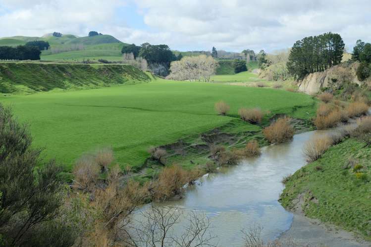 63 Hamilton Road Dannevirke_22