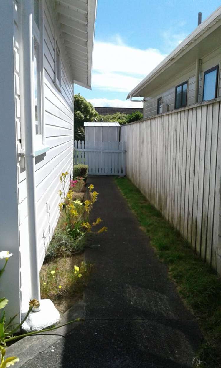 81 Ira Street Miramar_17