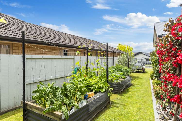 146 Rowesdale Drive Ohauiti_20