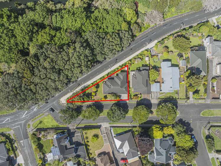 55 Victoria Road New Plymouth Central_3