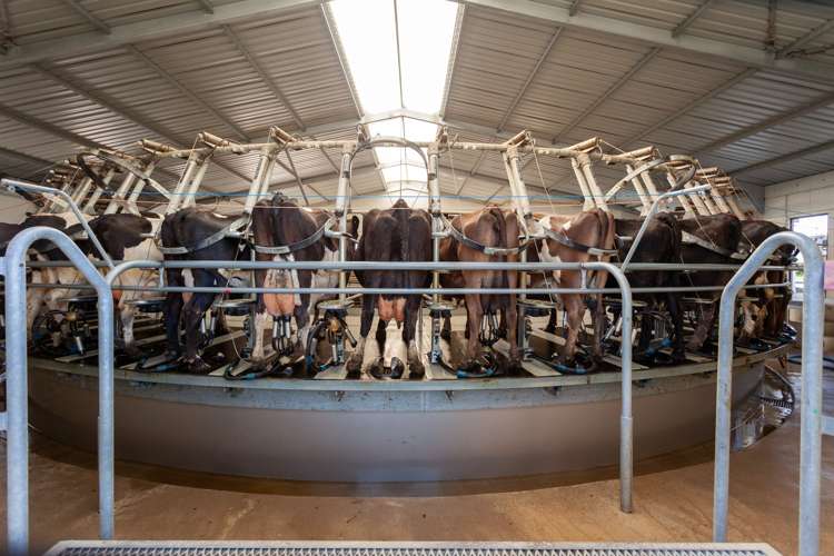 Alexandra Road Waharoa_9