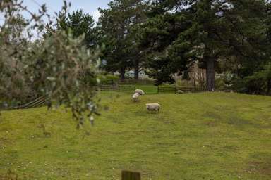 Lot Lots 2, 4, 5, 6/31 End Farm Road_3