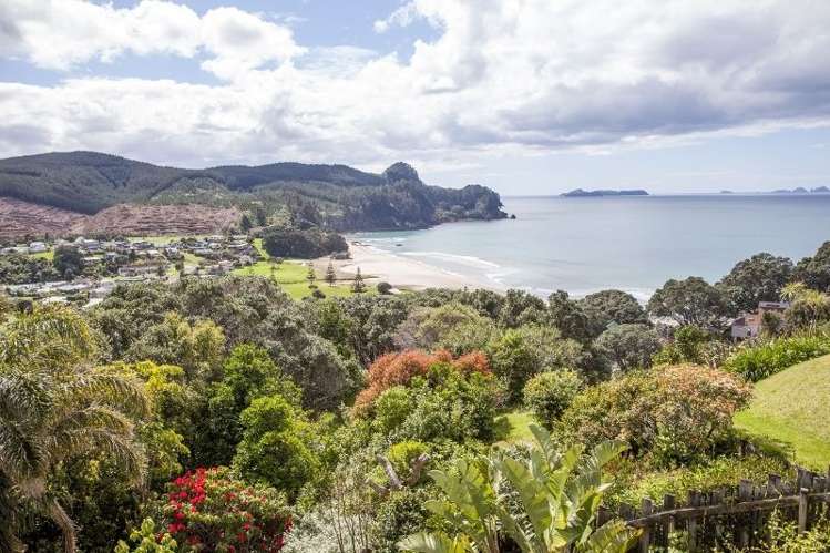 422 Onemana Drive Onemana_22