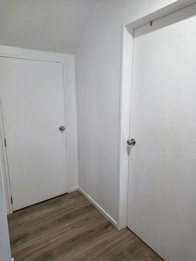 53C York Street Hamilton East_13