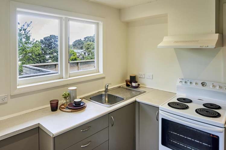 60 Anne Street Wadestown_13