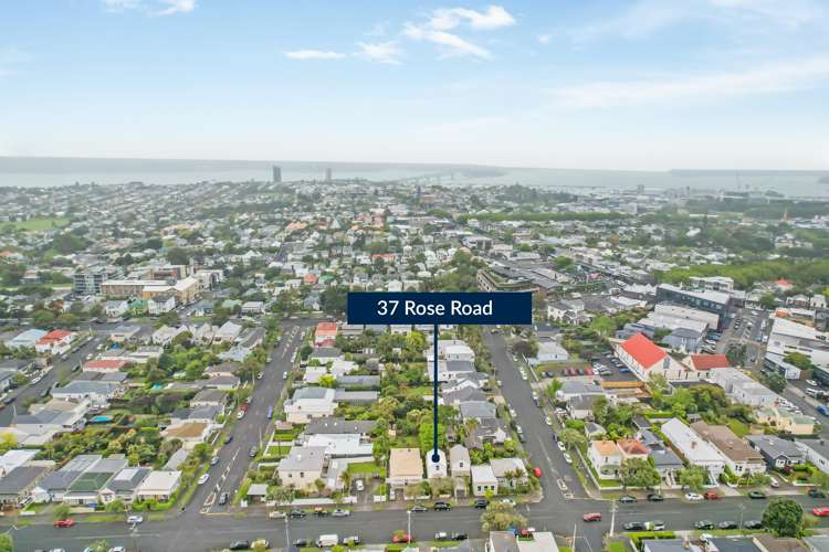 37 Rose Road Grey Lynn_13