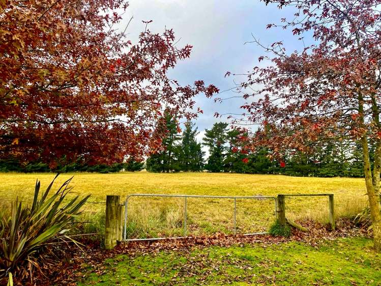 1015 Ellis Road Te Anau Surrounds_40