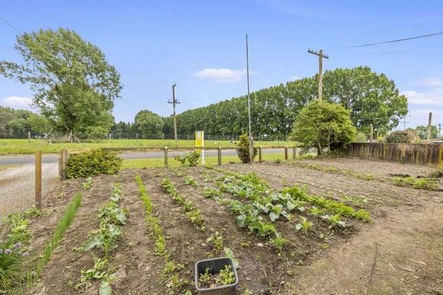 11 Earle Road Broadlands_3