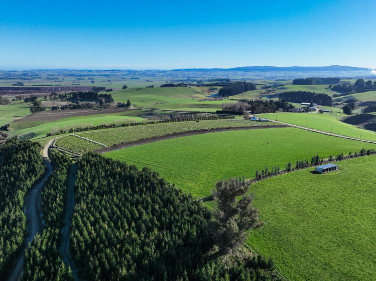 125B Davidson Road Mimihau_12