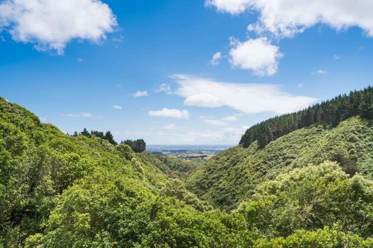 631 Pahiatua Aokautere Road_2