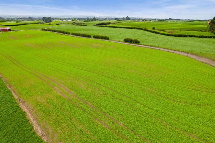 358 Opunake Road Cardiff_9