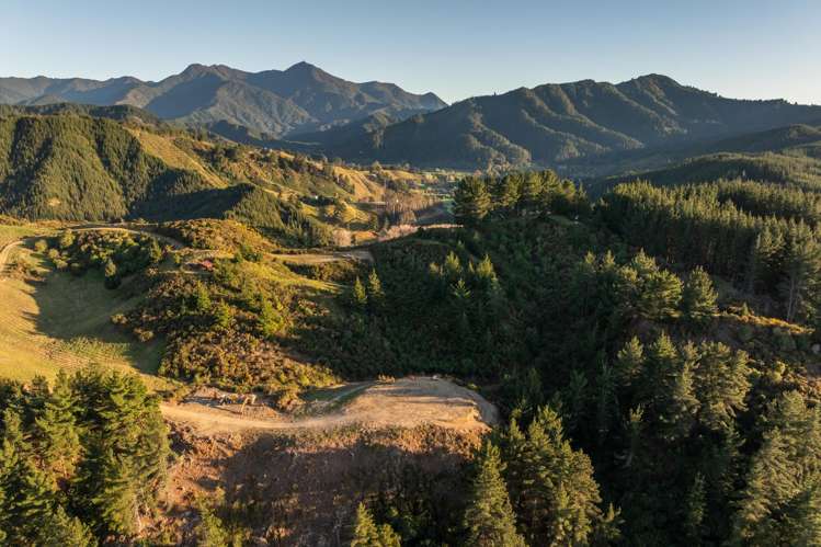 640 Northbank Road Wairau Valley_17