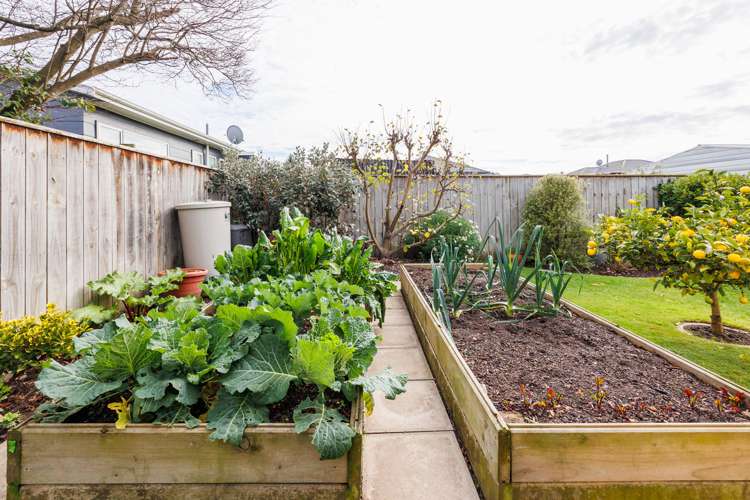 128a Warwick Street Feilding_8