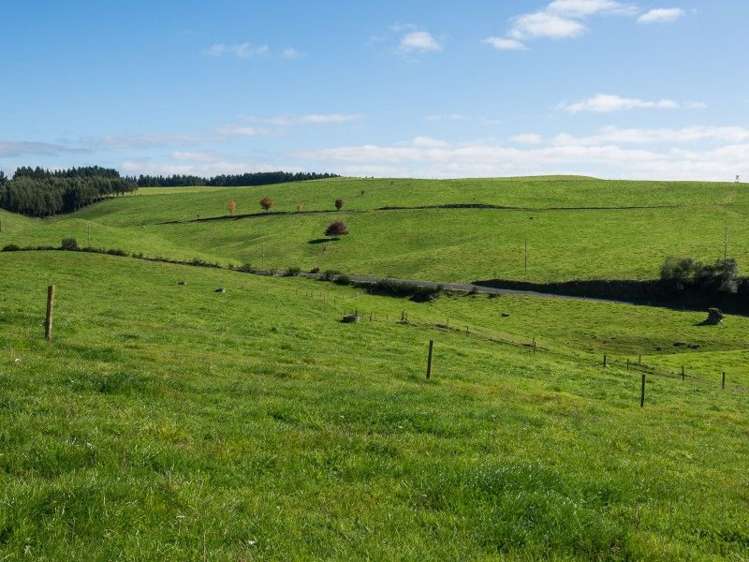 1111 Tutukau Road Reporoa and Surrounds_11