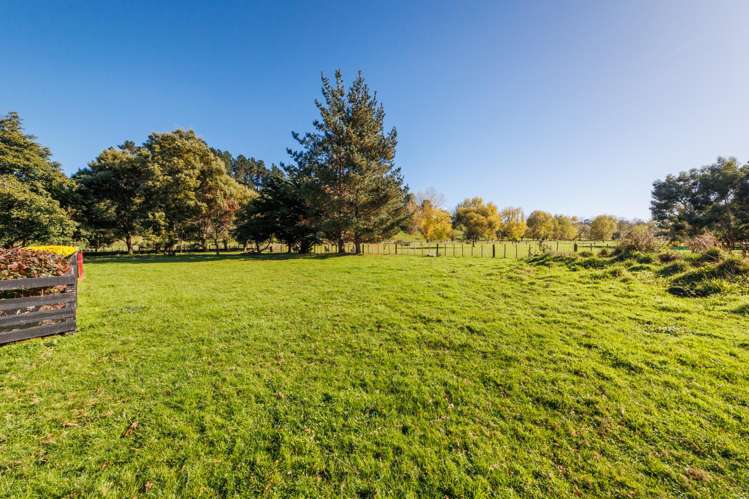 116 North Street Ashhurst_9